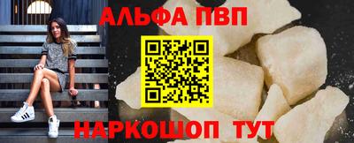 шишки Гай