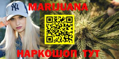 шишки Гай