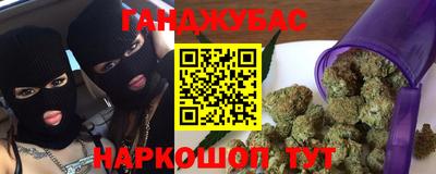 шишки Гай