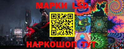 шишки Гай