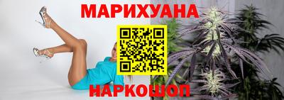 шишки Гай