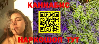 шишки Гай