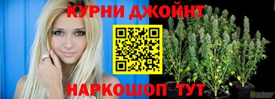 шишки Гай