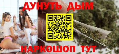 шишки Гай