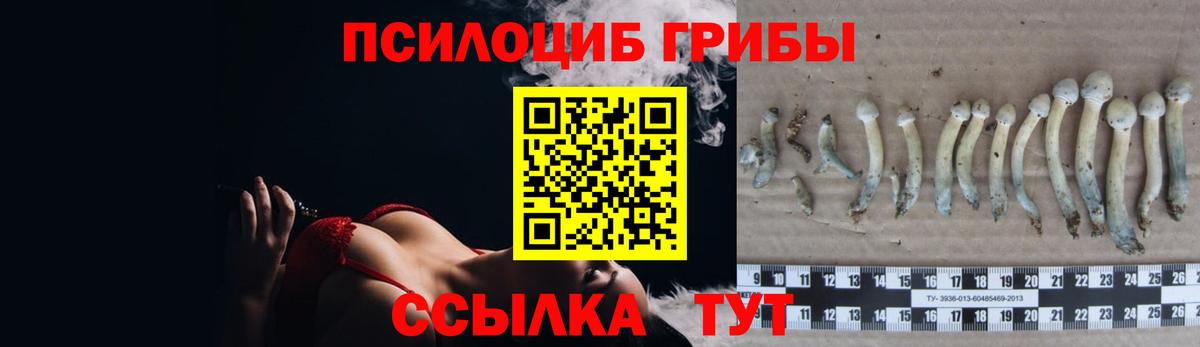 Наро-Фоминск  Галлюциногенные грибы Cubensis  Вход с VPN  Галлюциногенные грибы мицелий 